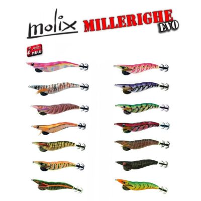 MOLIX MILLERIGHE EVO EGI 2.5/3.0