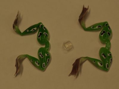 MOLIX FROG RICAMBIO COL 72