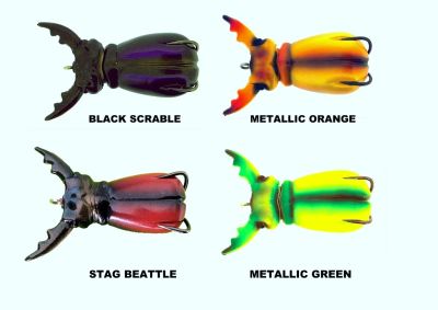 MOLIX SUPERNATO BEETLE 