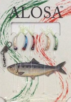 ALOSA AMETTIERA 5 AMI CON 5 COLORI - G07