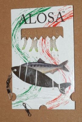 ALOSA AMETTIERA 5 AMI BIANCA CON TESTA FLUO A SFERETTE