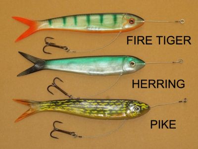 RIVER 2 SEA MR. WHIGGLEY