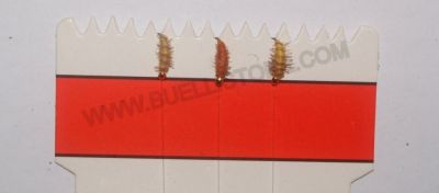 OLD CAPTAIN MONTATURE MOSCHERA  A 3  AMI - AMO:14 - M4 B