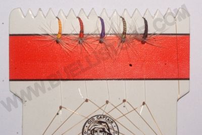 OLD CAPTAIN MONTATURE MOSCHERA  A 5 AMI - AMO:14 - M1