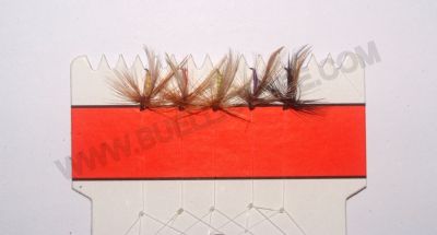 OLD CAPTAIN MONTATURE MOSCHERA  A 5 AMI - AMO:14 - M2