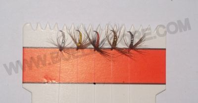 OLD CAPTAIN MONTATURE MOSCHERA  A 5 AMI - AMO:14 - M4