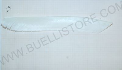 TRUEFLIGHT FEATHERS PIUME PER FRECCE BIANCHE 