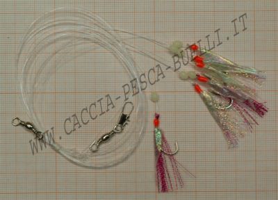 QUANTUM SGOMBRO SPECIAL III AMIERA 6 AMI DEL N.2 