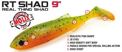 MOLIX RT SHAD 9"  23 cm