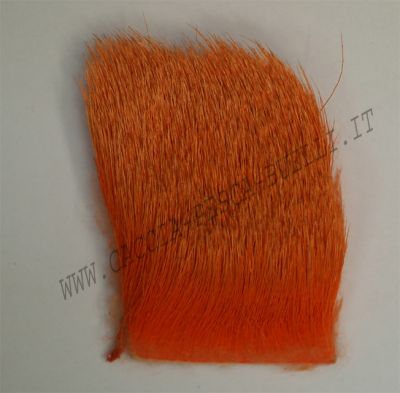 SEVERO E MARI PELO CERVO ARANCIO