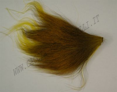 SEVERO E MARI CODA CAPRA GIALLA