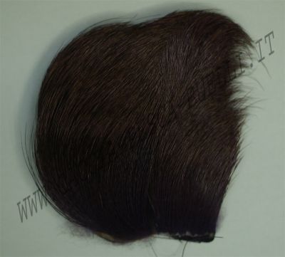 SEVERO E MARI PELO CERVO VIOLA