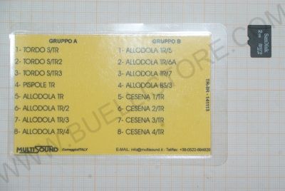 SCHEDA CANTI PER MULTISOUND HP24 16 CANTI USATA