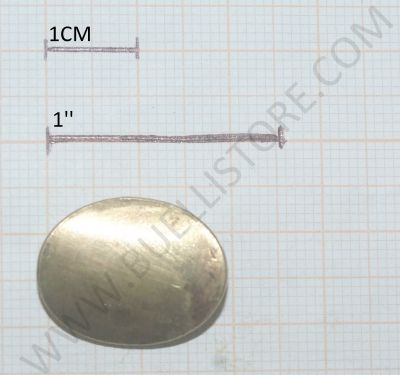 SCUDETTO PER FUCILI CON CALCI IN LEGNO 