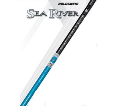 CANNA ITALICA INFINITE SEA RIVER