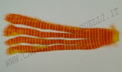 TRAUN RIVER PRODUCTS STRIPS RABBIT ARANCIO TIGRATO