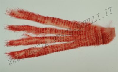 TRAUN RIVER PRODUCTS STRIPS RABBIT ROSSO TIGRATO