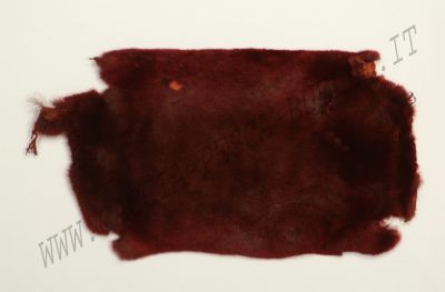 GIORGIO BENECCHI TALPA BORDOUX