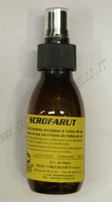 VITEX SCROFARUT ATTRATTIVO